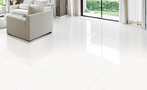 Polished Finish Tiles Image
